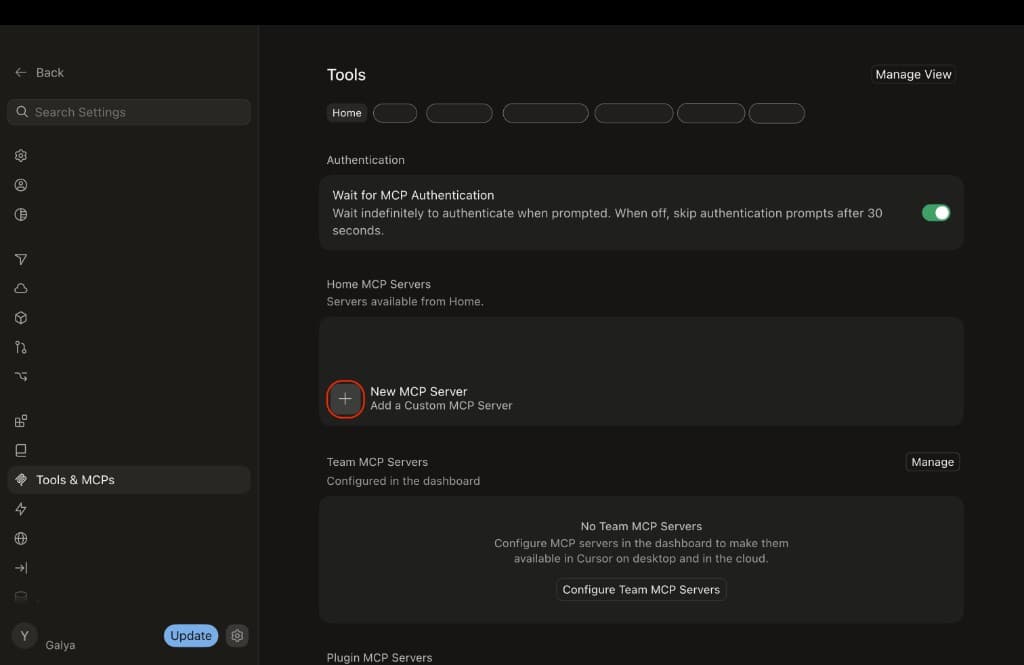 Tools & MCPs panel — click New MCP Server